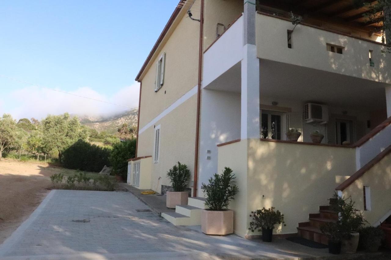 Casa Oleandri Villa Golfo Aranci Ngoại thất bức ảnh